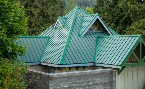 Best Roof Ventilation Installation  in Cassopolis, MI