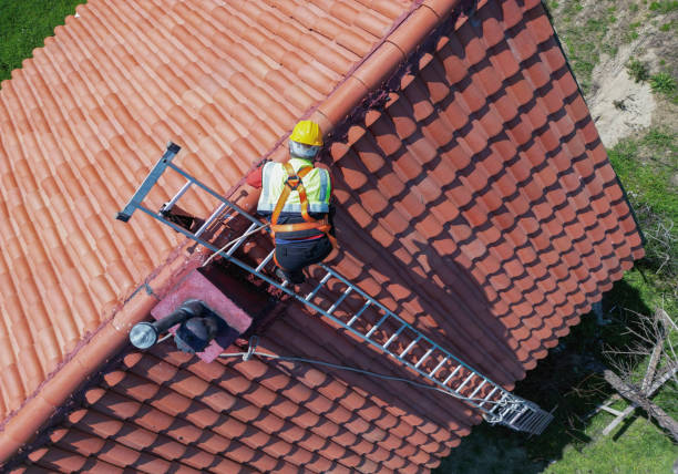 Best Skylight Installation and Repair  in Cassopolis, MI